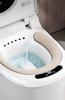 Electric bidet, male and female hemorrhoids wash butt, pregnant women postpartum foaming, flushing the toilets
